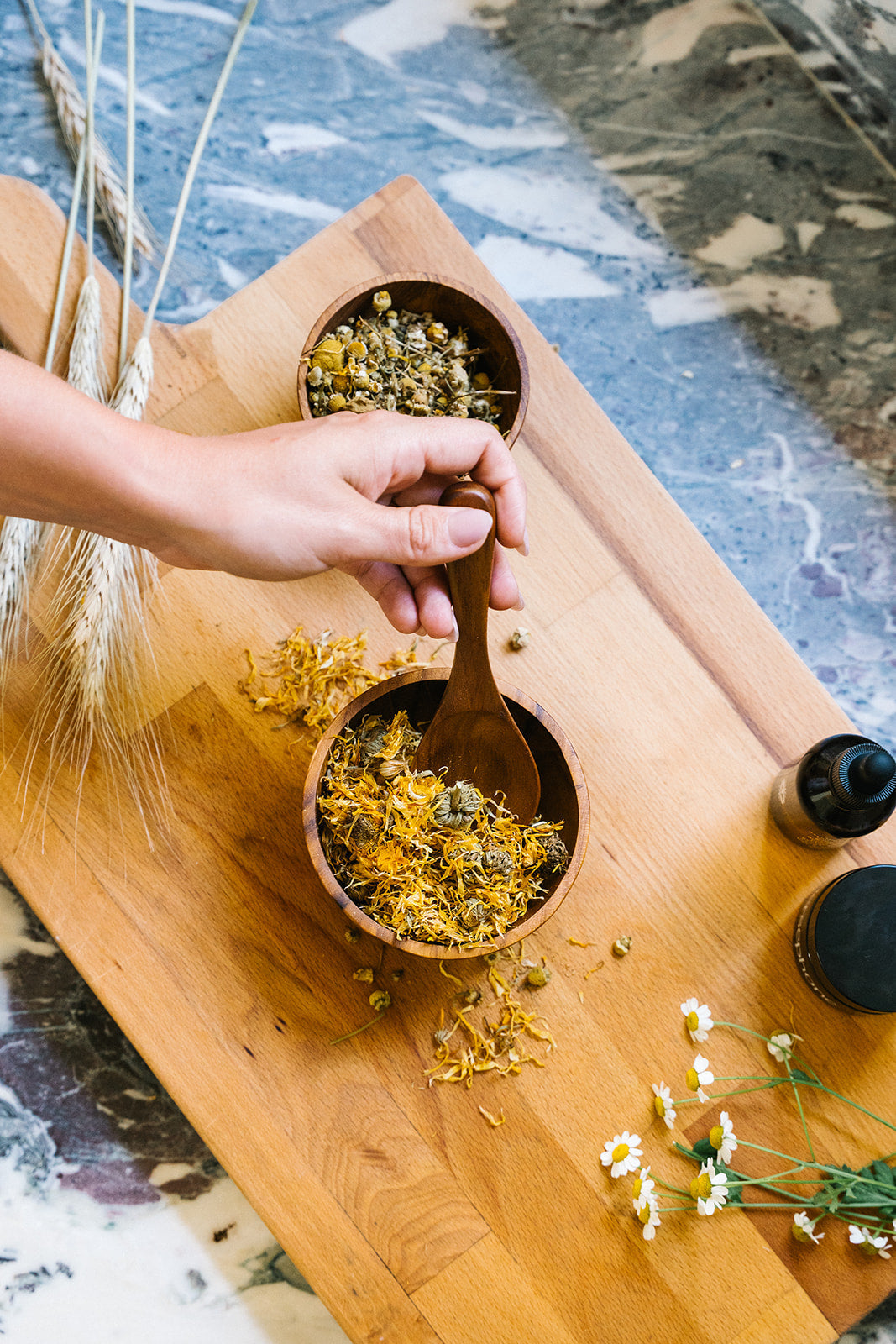 Chamomile: Calming Reactivity
