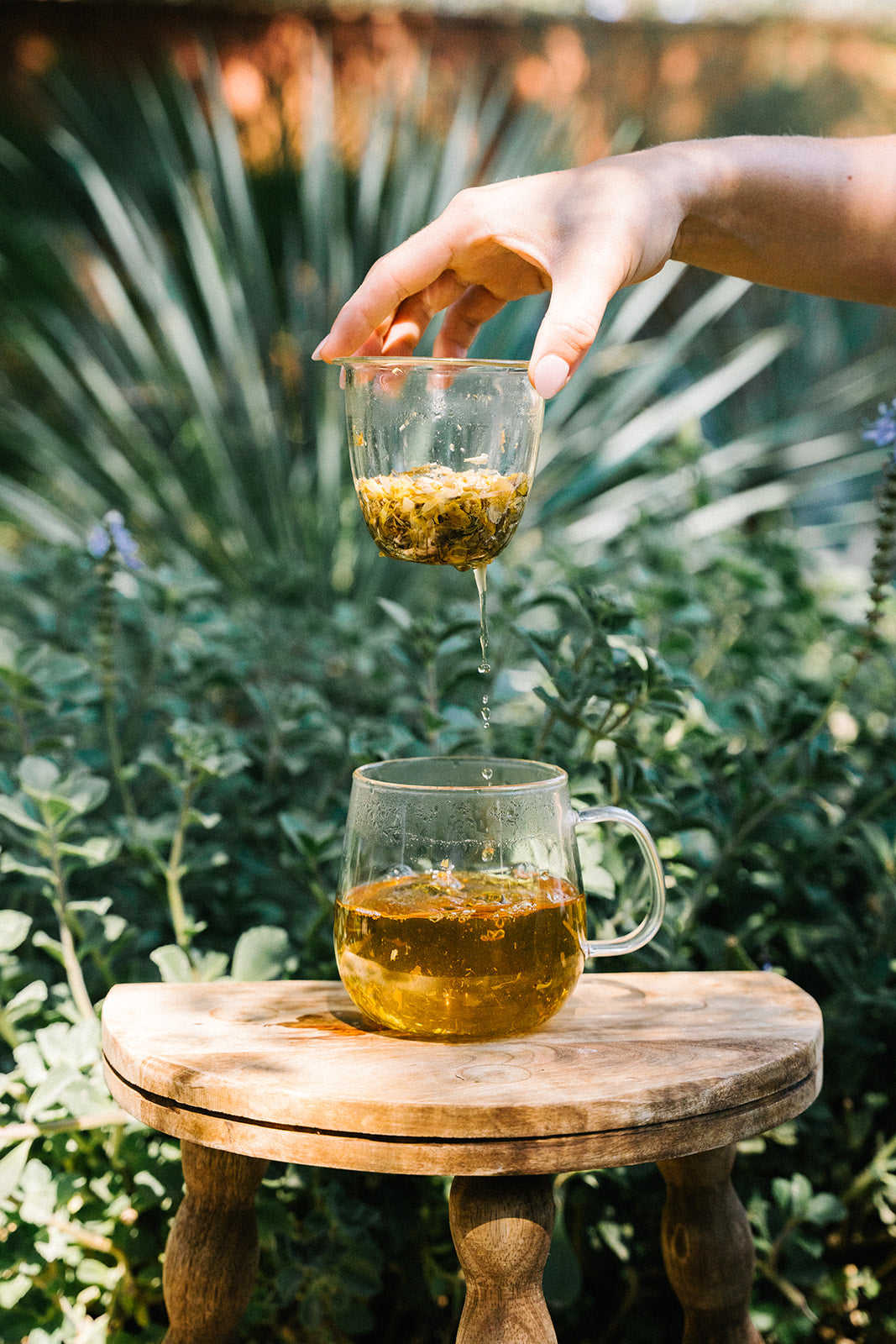 Skin Balancing Tea — Daily Herbal Tea for Sensitive Skin & Nervous System Support