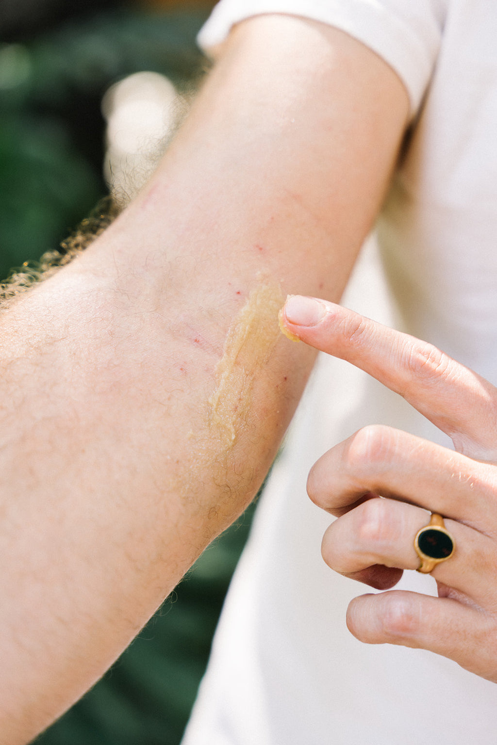 Barrier Balm — Whole-Plant Skin Barrier Repair for Dry & Sensitive Skin